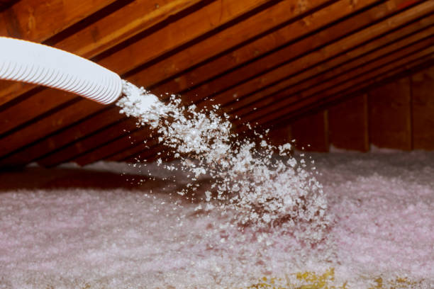 Types of Insulation We Offer in Mathis, TX