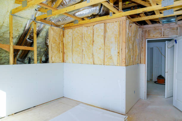 Best Geographic-Specific Insulation Services in Mathis, TX