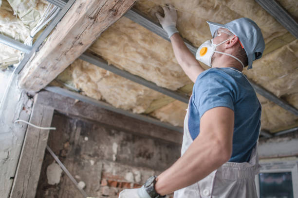 Best Cellulose Insulation in Mathis, TX
