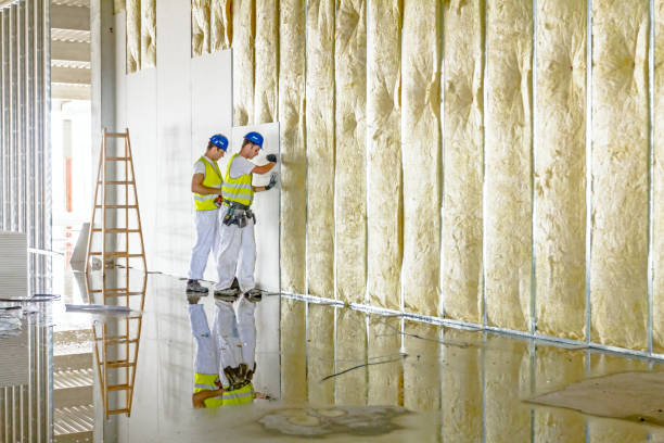 Best Specialized Insulation Services in Mathis, TX